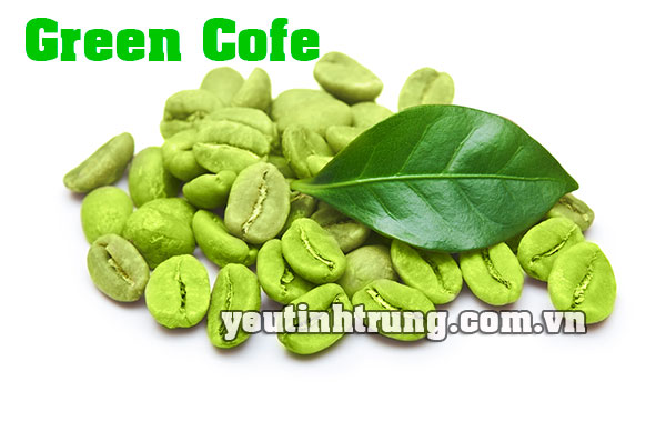 mua-green-coffe-o-dau-1